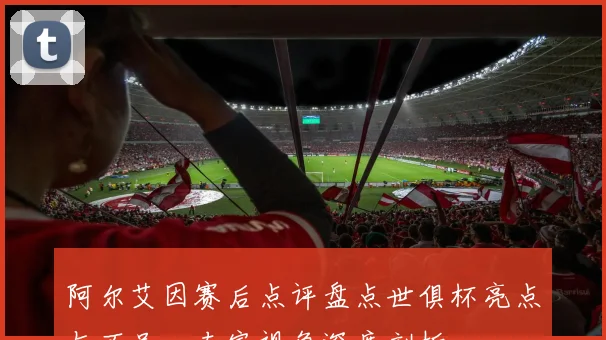 阿尔艾因赛后点评盘点世俱杯亮点与不足，专家视角深度剖析