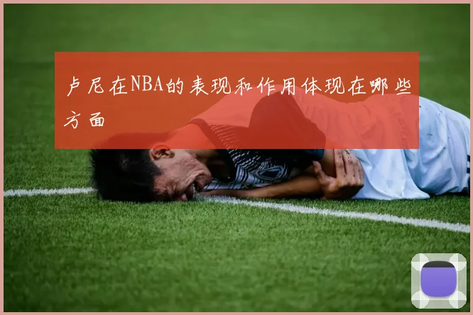 卢尼在NBA的表现和作用体现在哪些方面