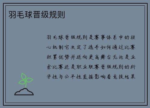 羽毛球晋级规则